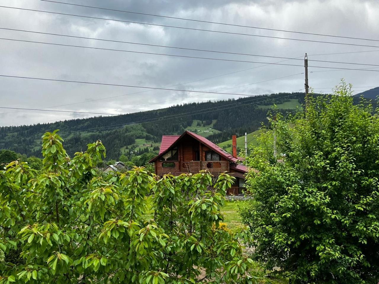 карпат